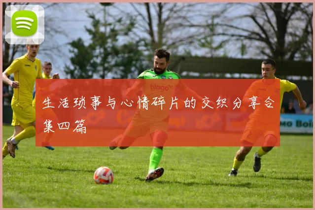 生活琐事与心情碎片的交织分享合集四篇